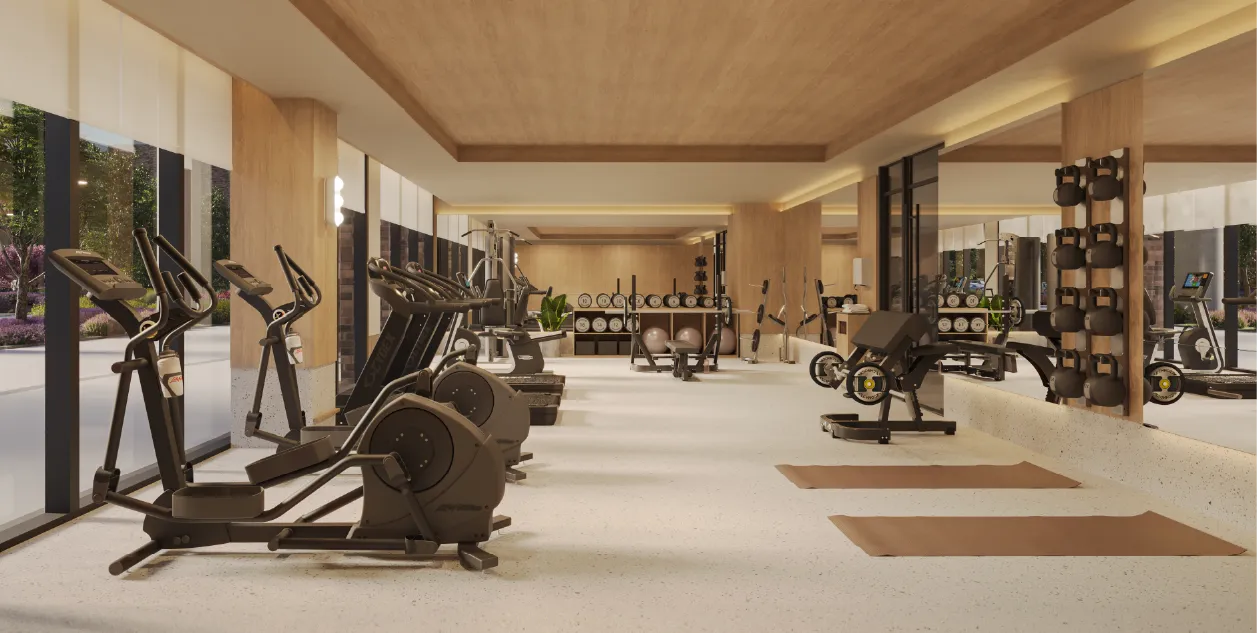 Gimnasio